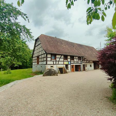 Achille Appartement Manspach Buitenkant foto